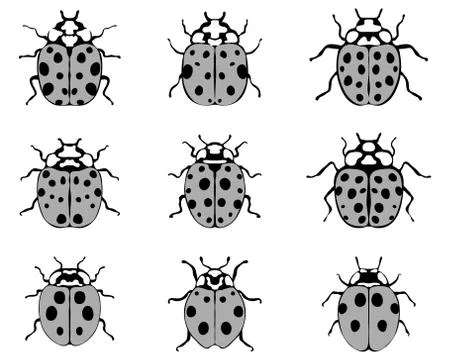 Cheerful ladybugs 2 Stock Illustration