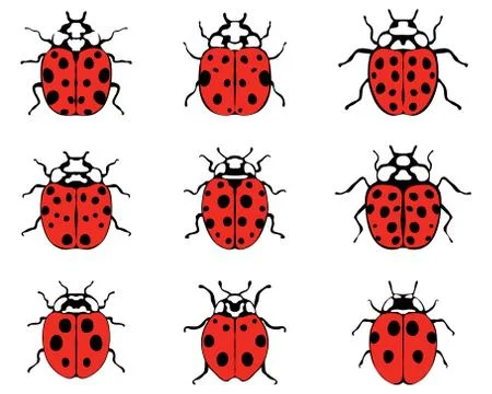 Cheerful ladybugs Stock Illustration
