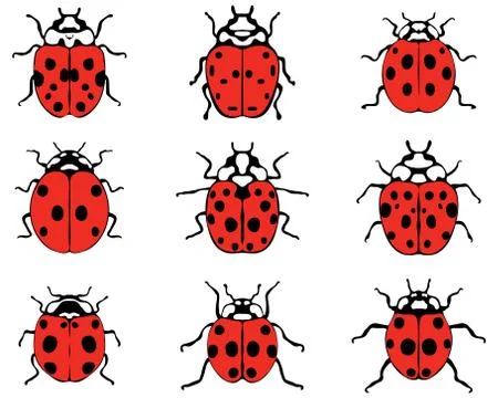 Cheerful ladybugs Stock Illustration