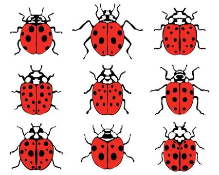 Cheerful ladybugs Stock Illustration