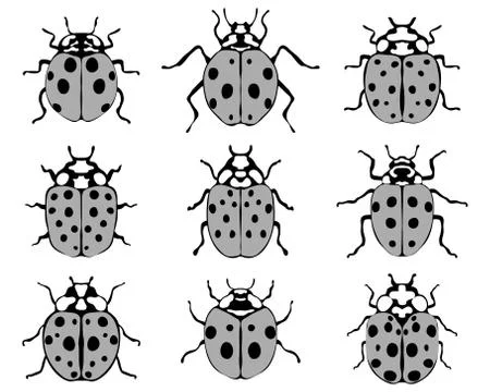 Cheerful ladybugs Stock Illustration