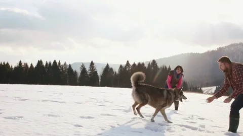 Cheerful loving couple is playing snowballs with their Czechoslovakian wolfdog Stock Footage