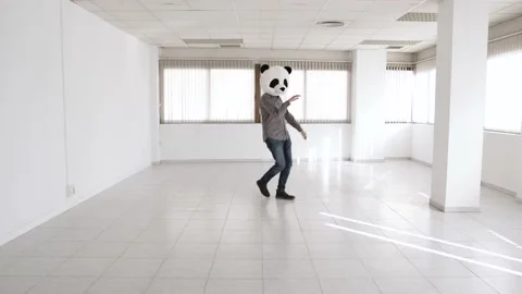 Cheerful man in panda mask dancing in a new empty office Stock Footage 168775472