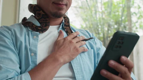 Cheerful Man Petting Python and Texting Message on Smartphone Stock Footage 304540949