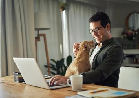 Cheerful man playing with dog while using laptop Stock Photos