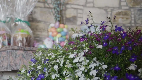 Cheerful market setup featuring blooming flowers and candies present Stock Footage 323356290