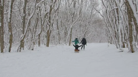 Cheerful mother and her eldest daughter sledding youngest daughter Stock Footage 72372696