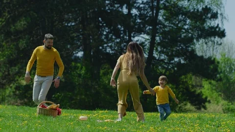Cheerful parents chasing their son Stock Footage 100002604
