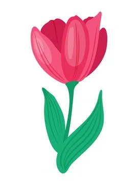A cheerful red tulip with a single stem and two leaves Stock Illustration
