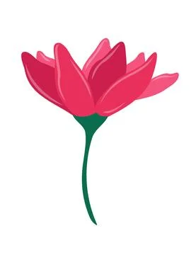 A cheerful red tulip with a single stem and two leaves Stock Illustration