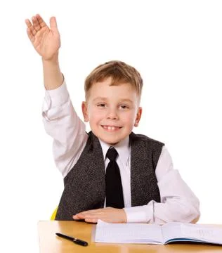 Cheerful Schoolboy Stock Photos