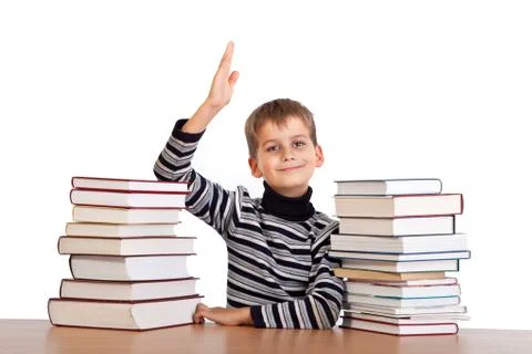 Cheerful Schoolboy ready to answer question Stock Photos