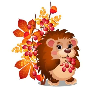 Cheerful smiling hedgehog eats ripe berries of viburnum and autumn leaves Stock Illustration