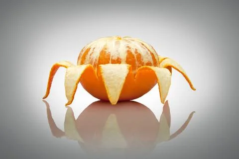 A cheerful spider. Stock Photos