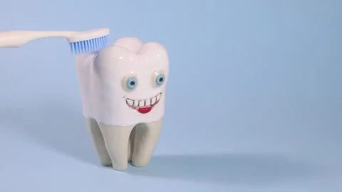 Cheerful Tooth Brushing. A smiling tooth model being brushed Stock Footage 306226367