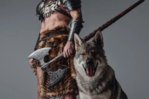 Cheerful wild wolf looking at camera in background of violent viking Фото