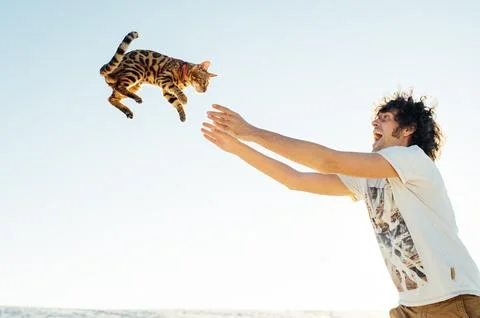 Cheerful young couple having fun on the beach with their bengal cat Stock Photos