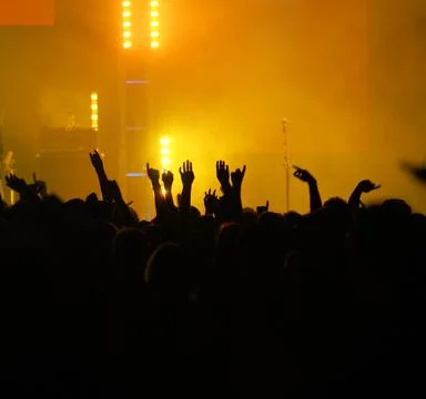 Cheering at concert Foto stock
