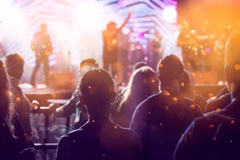 Cheering crowd at a concert Stock Photos
