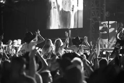 Cheering Crowd 库存照片