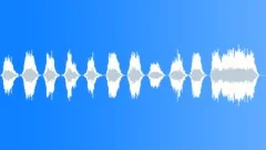 CHEERING, CROWDSound Effect