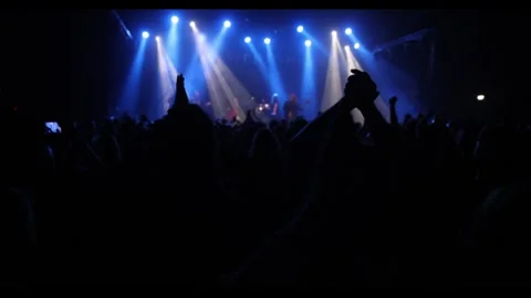 Cheering people crowd on the dance floor during a music concert. Stock Footage 273746061