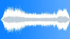 CHEERING,OUTDOOR Sound Effect