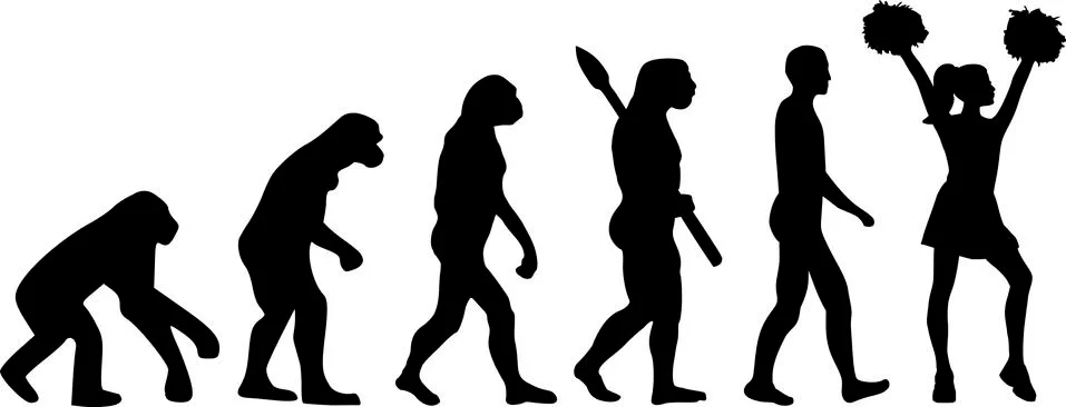Cheerleader Evolution Stock Illustration