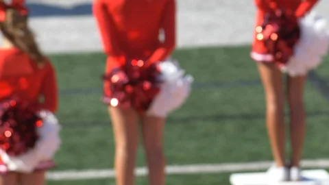 A cheerleader shakes her pom-poms smiles and encourages action