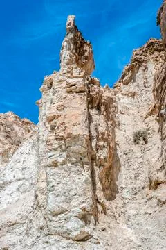 A cheerless environment surrounded by the most beautiful oasis of Shebika. Stock Photos