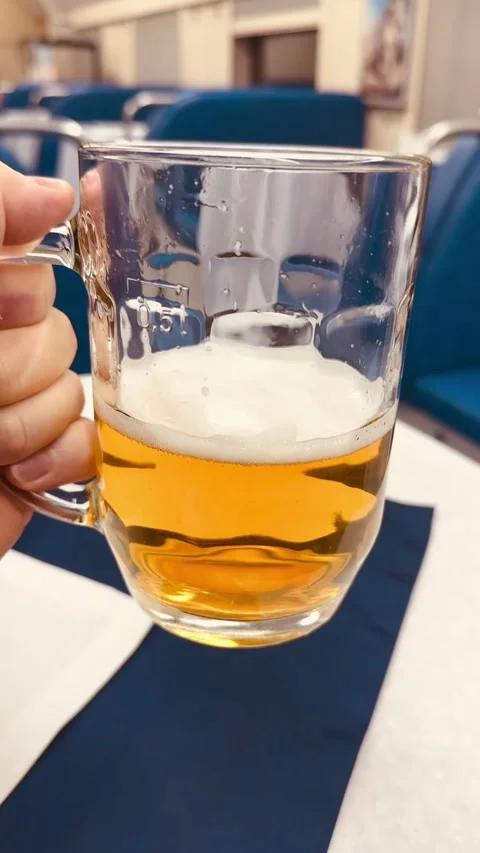 Cheers Enjoying a Refreshing Cold Beer in a Relaxing and Comfortable Atmosphere Stock-Footage 316412319