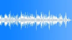 Cheers at the Party (30sec)Stock Music
