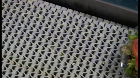 Cheese and bacon salad on assembly line Stock Footage