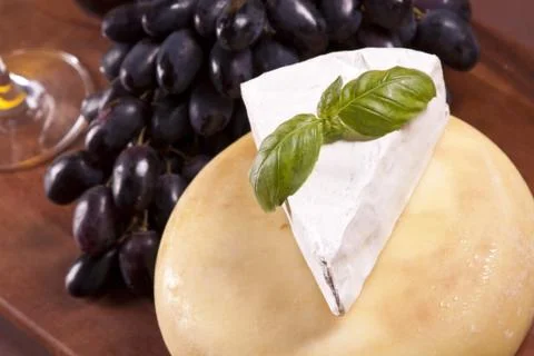 Cheese and wine composition Stock Photos