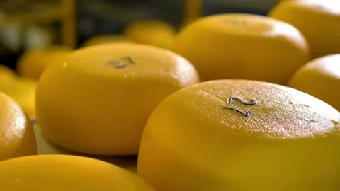 Cheese Arranged In Boxes At Cheese Factory Warehouse. milk products factory HD Stock Footage 336444281