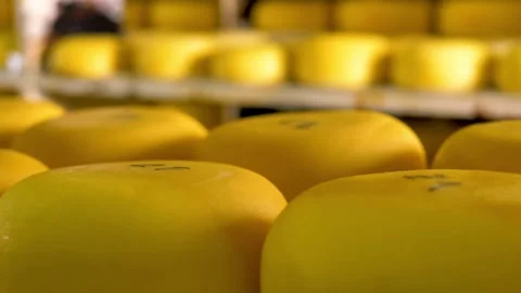 Cheese Arranged In Boxes At Cheese Factory Warehouse. milk products factory HD Stock Footage 336444354