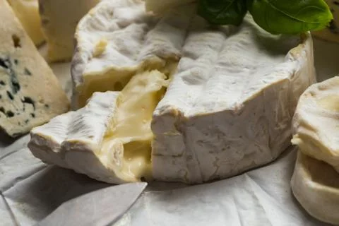 Cheese assorted on a table background. Variety sorts for appetizing, gourmet Stock Photos
