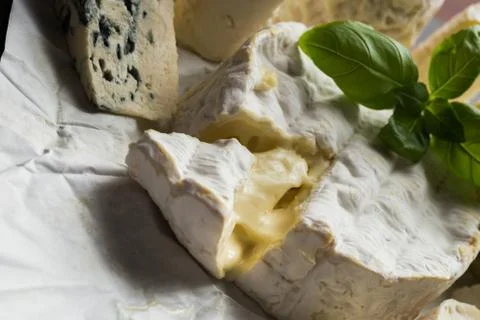 Cheese assorted on a table background. Variety sorts for appetizing, gourmet Stock Photos