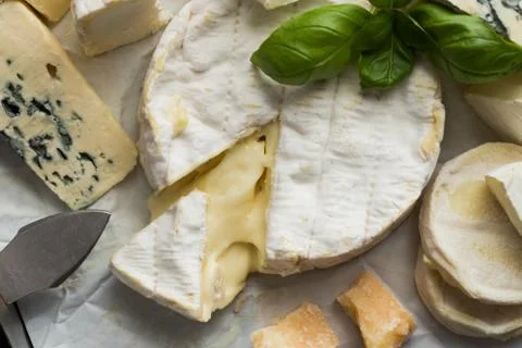 Cheese assorted on a table background. Variety sorts for appetizing, gourmet Stock Photos