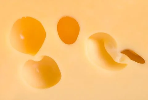 Cheese background Stock Photos