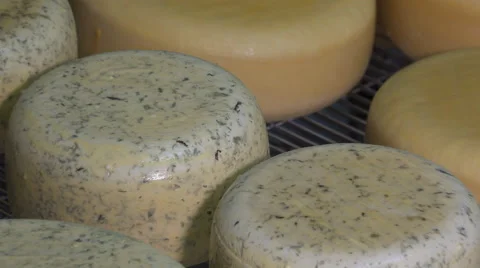 Cheese balls in aging room Stock Footage 58611783
