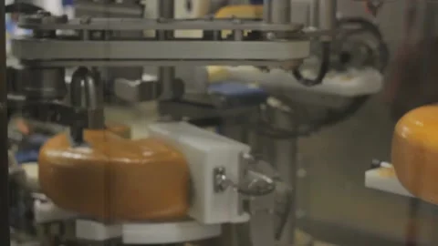 Cheese being produced on an industrial scale milk factory HD Stock Footage 336444391