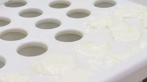 Cheese being produced on an industrial scale milk factory HD Stock Footage 336444410
