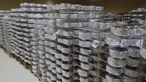 Cheese With Blue Mold Ripens in the Chamber on the Shelves Stock Footage 107092844