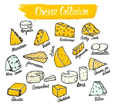 Cheese collection. Vector illustration of cheese types in hand drawn style... Stock Illustration