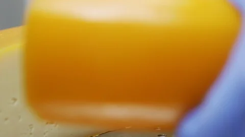 Cheese cutting machine at factory Stock Footage 96418230