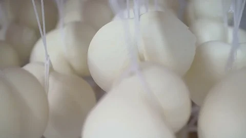 Cheese at the dairy, cheese is ripen on wood racks Stock Footage