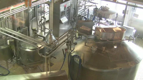 Cheese dairy pan Vidéo 739449