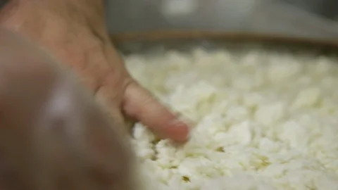Cheese Dessert Making Stock Footage 102177539