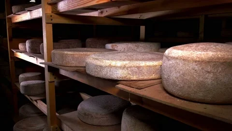 Cheese of different sizes ripens on the shelves. Stock Footage 170957414